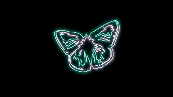 papillon néon effet video