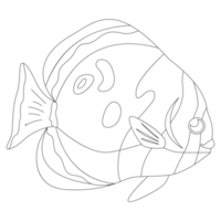 nero farfalla pesce 2d schema illustrazioni png