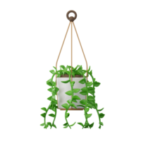 carnosa plante 3d des illustrations png