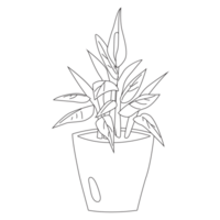 Peace Lily Plant Outline 2D Illustrations png