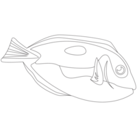bluetang poisson 2d contour des illustrations png