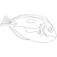 Bluetang Fish 2D Outline Illustrations png