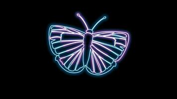 butterfly neon effect video