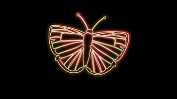 butterfly neon effect video