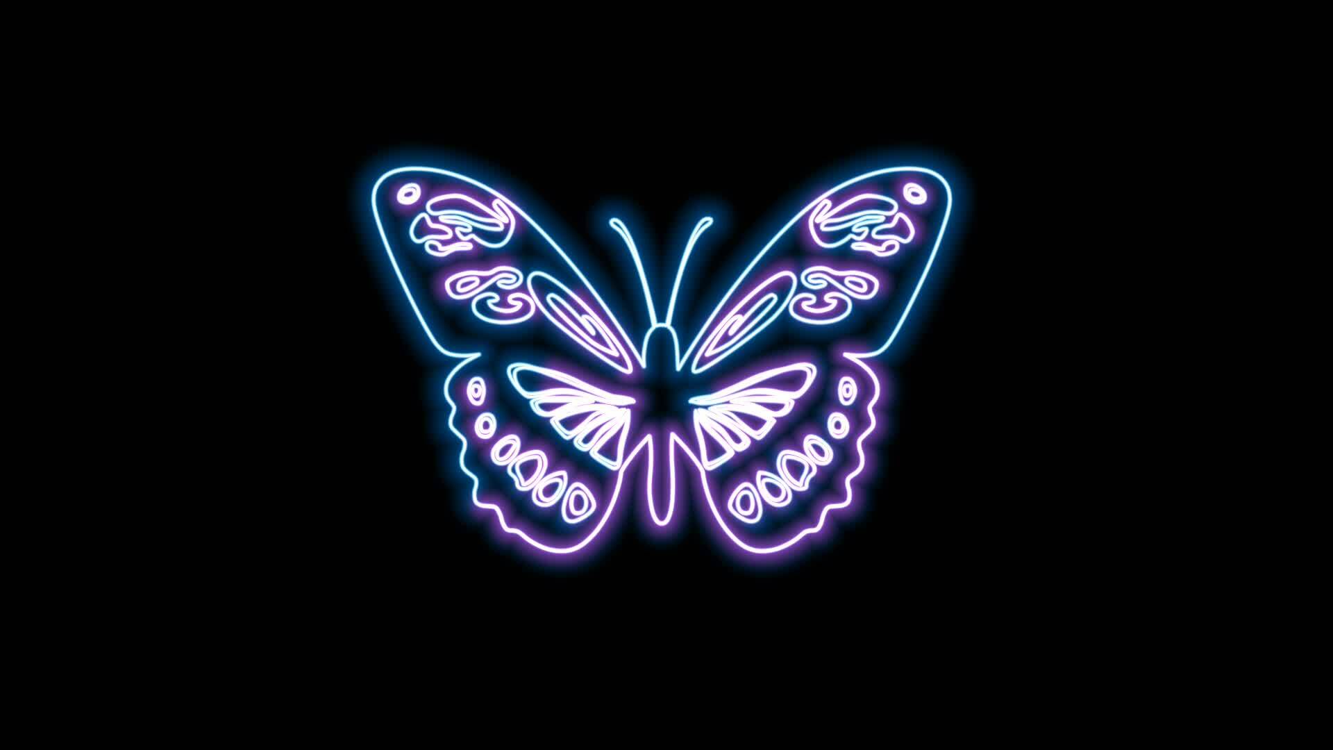 butterfly neon effect 27118503 Stock Video at Vecteezy