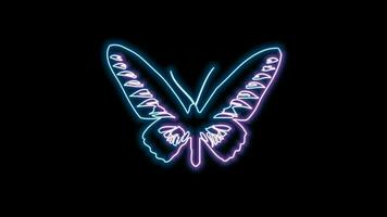 vlinder neon effect video