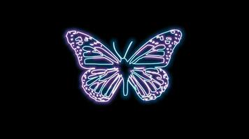 butterfly neon effect video