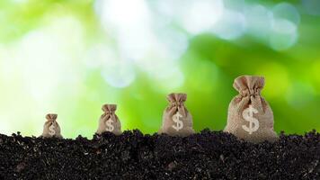 Money bag in a savings on soil with sunlight bokeh green nature background. Business investment ideas and financial growth photo