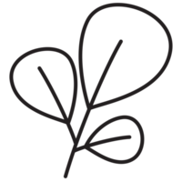 Leaves Autumn Flora Outline 2D Illustration png