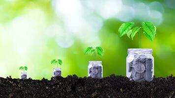 monedas en vaso tarro con planta en parte superior poniendo en suelo con luz de sol bokeh verde antecedentes. financiero inversión ideas para futuro crecimiento ganancias, arboles creciente en monedas foto