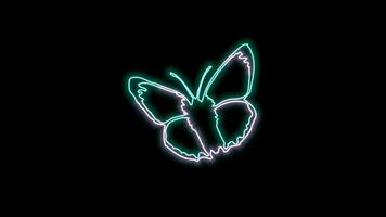 butterfly neon effect video