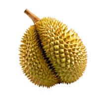durian fruit isolated on transparent background ,realistic illustration durian png ,generative ai