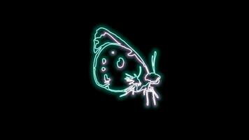 butterfly neon effect video