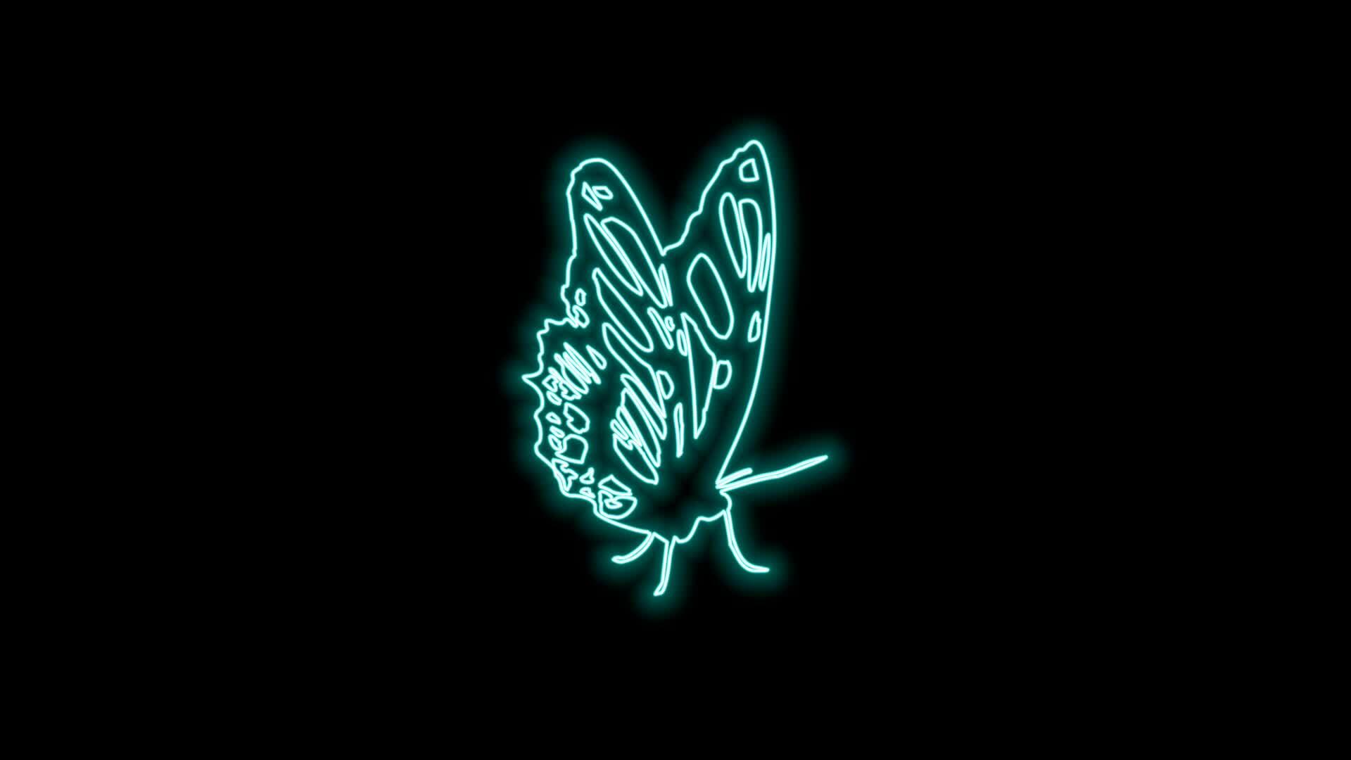 butterfly neon effect 27119081 Stock Video at Vecteezy