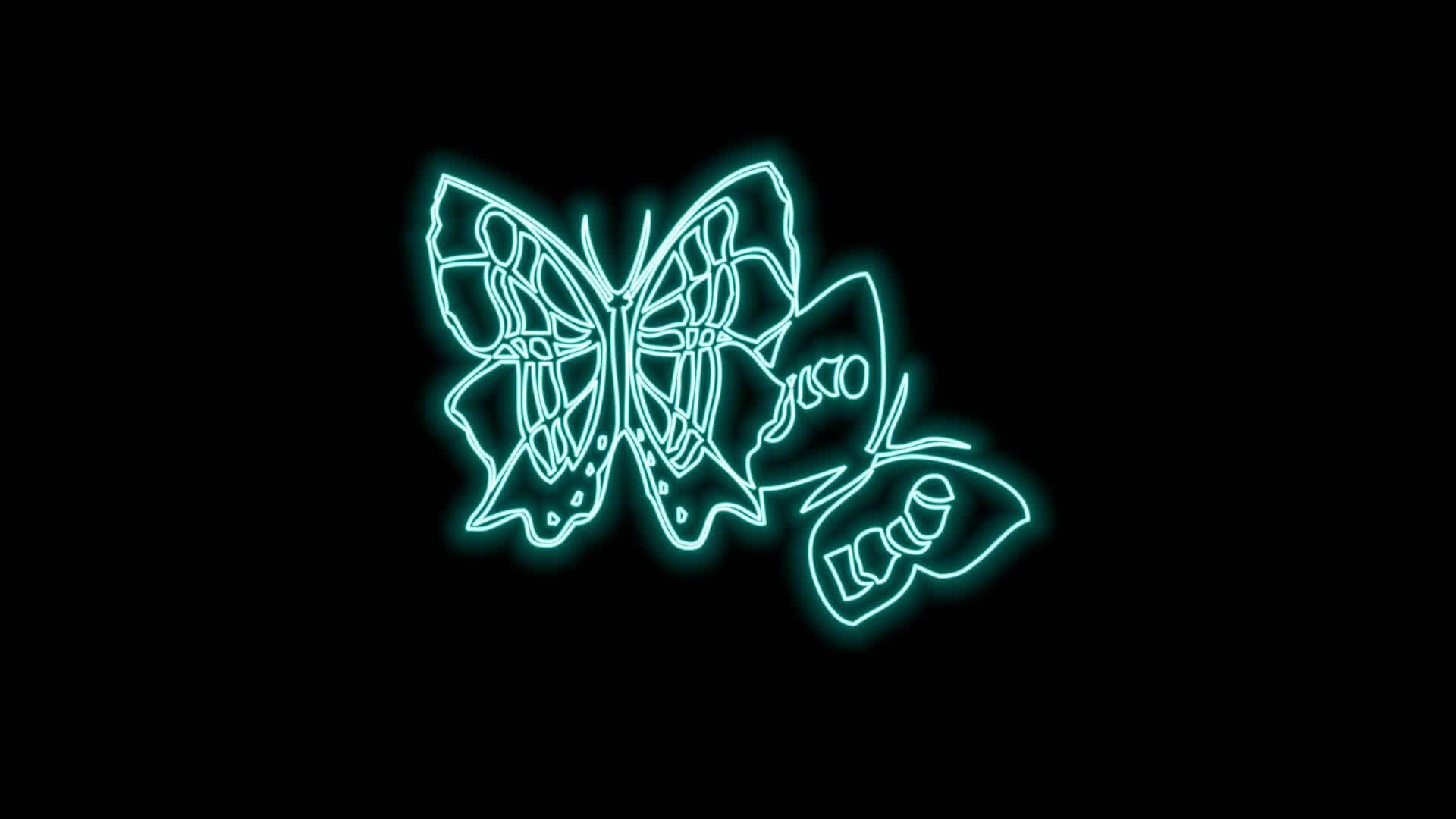 butterfly neon effect 27119089 Stock Video at Vecteezy