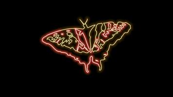 farfalla neon effetto video