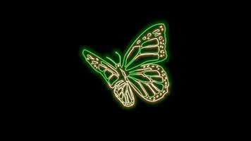 butterfly neon effect video