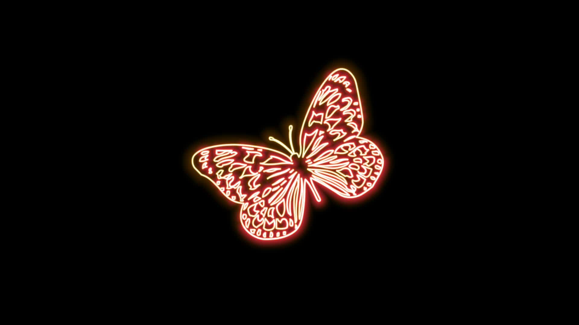butterfly neon effect 27119286 Stock Video at Vecteezy