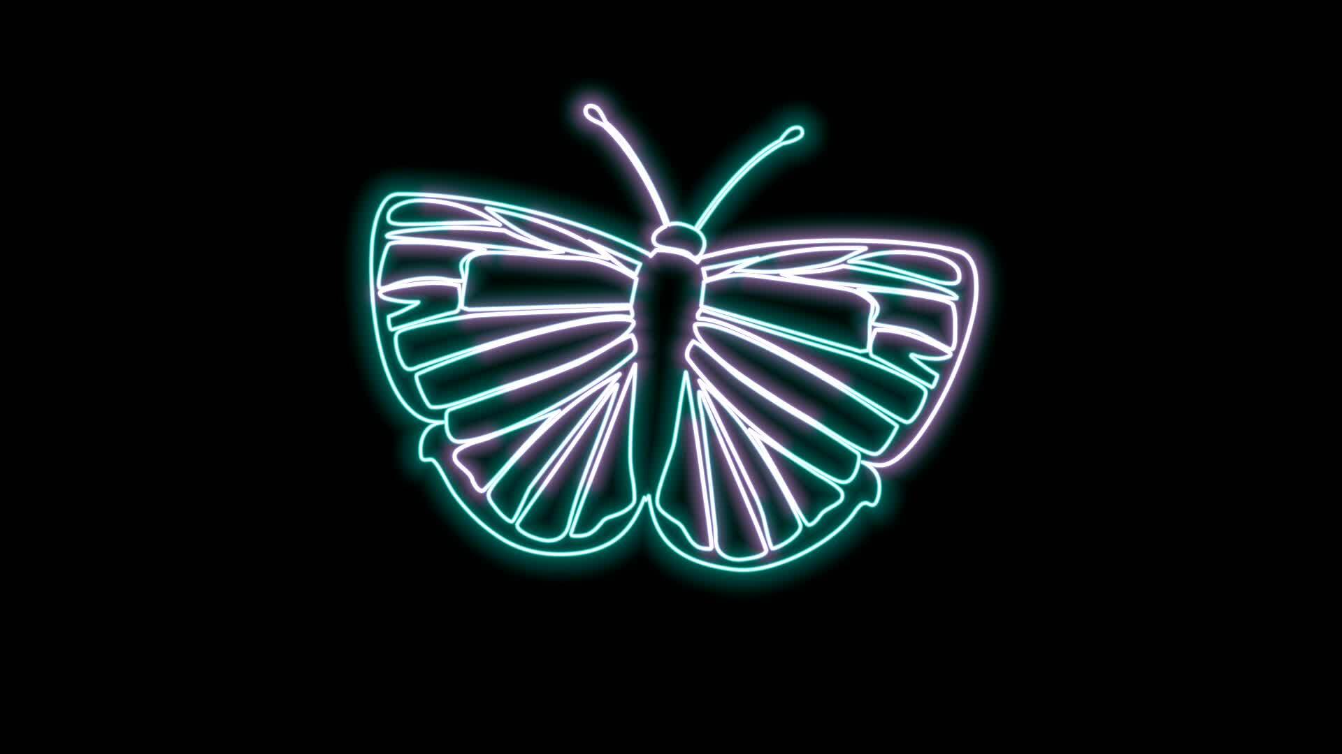 butterfly neon effect 27119291 Stock Video at Vecteezy