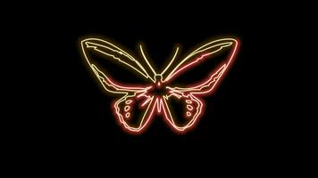 butterfly neon effect video