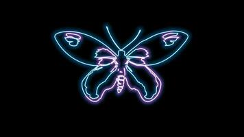 butterfly neon effect video
