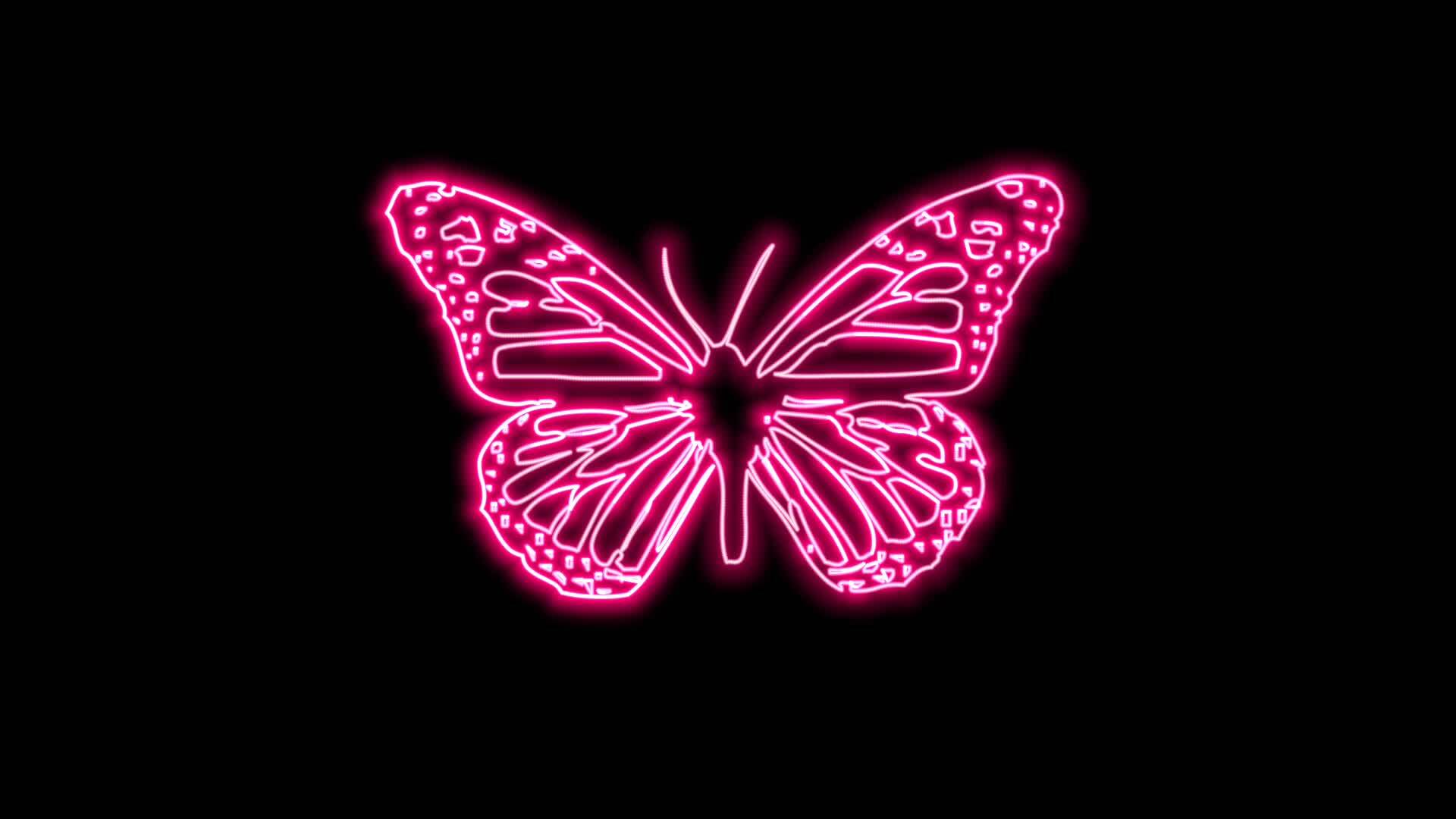 butterfly neon effect 27119299 Stock Video at Vecteezy