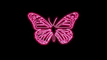 vlinder neon effect video