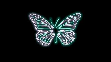 butterfly neon effect video