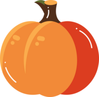 Hand Drawn thanksgiving pumpkin in flat style png