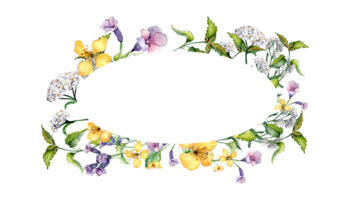 Wreath of wild medicinal plant, herbs watercolor illustration. Achillea millefolium, nettle, pulmonaria, celanine flower hand drawn. Design for label, package, postcard. png