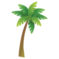 isolate summer elements coconut tree png