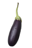 Eggplants isolated on transparent background. png