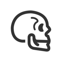 Skull side view line icon png