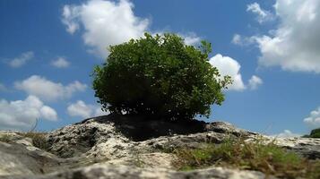 un árbol en un rocoso colina con azul nublado cielo, concepto para senderismo, escalada, ver desde fondo a parte superior acantilado. ai generado foto