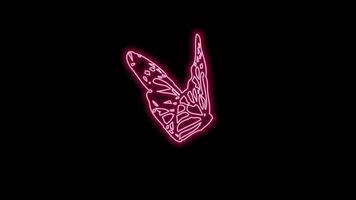 butterfly neon effect video