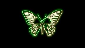 butterfly neon effect video