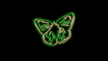 butterfly neon effect video