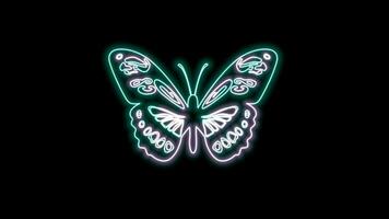 butterfly neon effect video