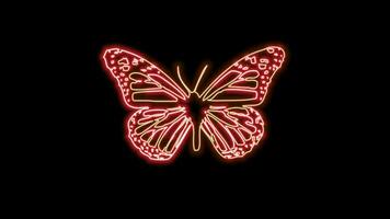 papillon néon effet video