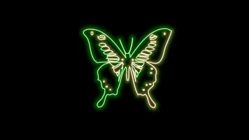 borboleta néon efeito video
