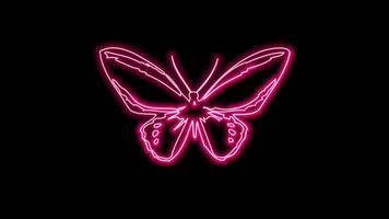 butterfly neon effect video