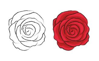 Red Rose hand drawn style vector flowers with line art illustration