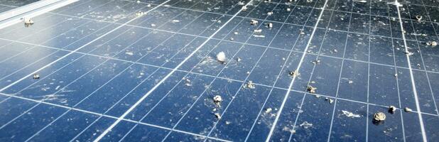 Upper surface of solar rooftop which has been used for a long time is stained with dust, bird droppings, dirt, smog and rainwater stains, concept for cleaning, washing and maintainance, cropped shot. photo