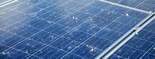 Upper surface of solar rooftop which has been used for a long time is stained with dust, bird droppings, dirt, smog and rainwater stains, concept for cleaning, washing and maintainance, cropped shot. photo