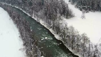 aéreo Visão do uma rio dentro a inverno video