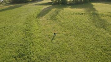 a boy is walking through a field with flowers video