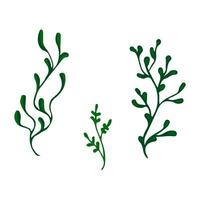 Doodle green colors twig branches element. Twig plant, herb. Vector illustration.