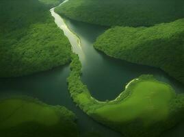 An aerial view of the Amazon Rainforest and river at the sunset as Generative AI photo