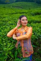 a Javanese woman on vacation in a tea garden wearing a yellow dress photo