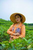 un javanés mujer es mirando después su té jardín cuando ella usa un naranja vestir foto